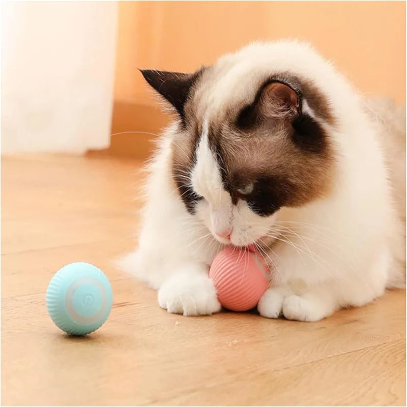 Smart Dog Toys Ball Electronic Interactive Pet Toy Moving Ball USB Automatic Moving Bouncing for Puppy Birthday gift Cat Product Beauty World Shop
