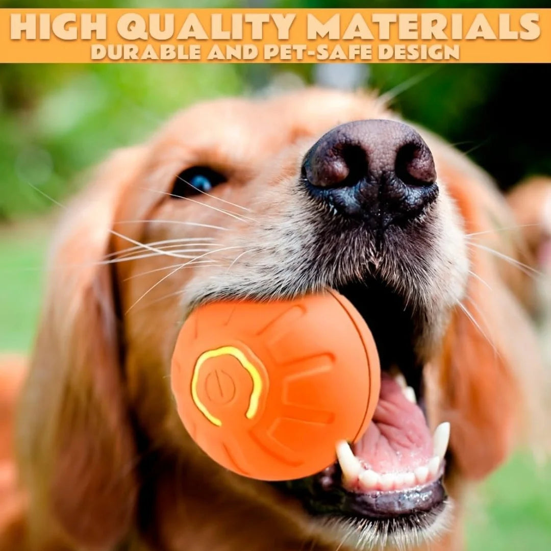 Pet toys Gravity Electric Amusement Pet Ball Smart Bouncing Ball For Dogs and Cats Beauty World Shop