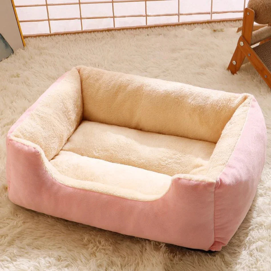 Bed for Cats Pet Products Cushions Kitten Goods Accessories Dog All Home Supplies Things Accessory Habitats Basket House Beds Beauty World Shop