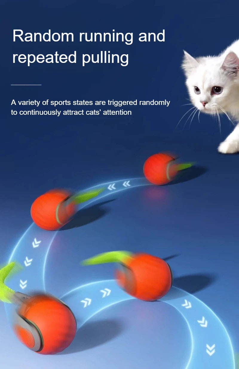 Cats Interactive Ball Toys, Automatic Rolling Ball with Faux Tail,USB Rechargeable SmartElectric Pet Toy for Teaser and Training Beauty World Shop