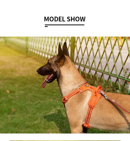 TRUE LOVE Pet Harness No Pull Nylon Reflective Dog Harness Adjustable Comfortable Control Step-in Brilliant Truelove TLH5654 Beauty World Shop