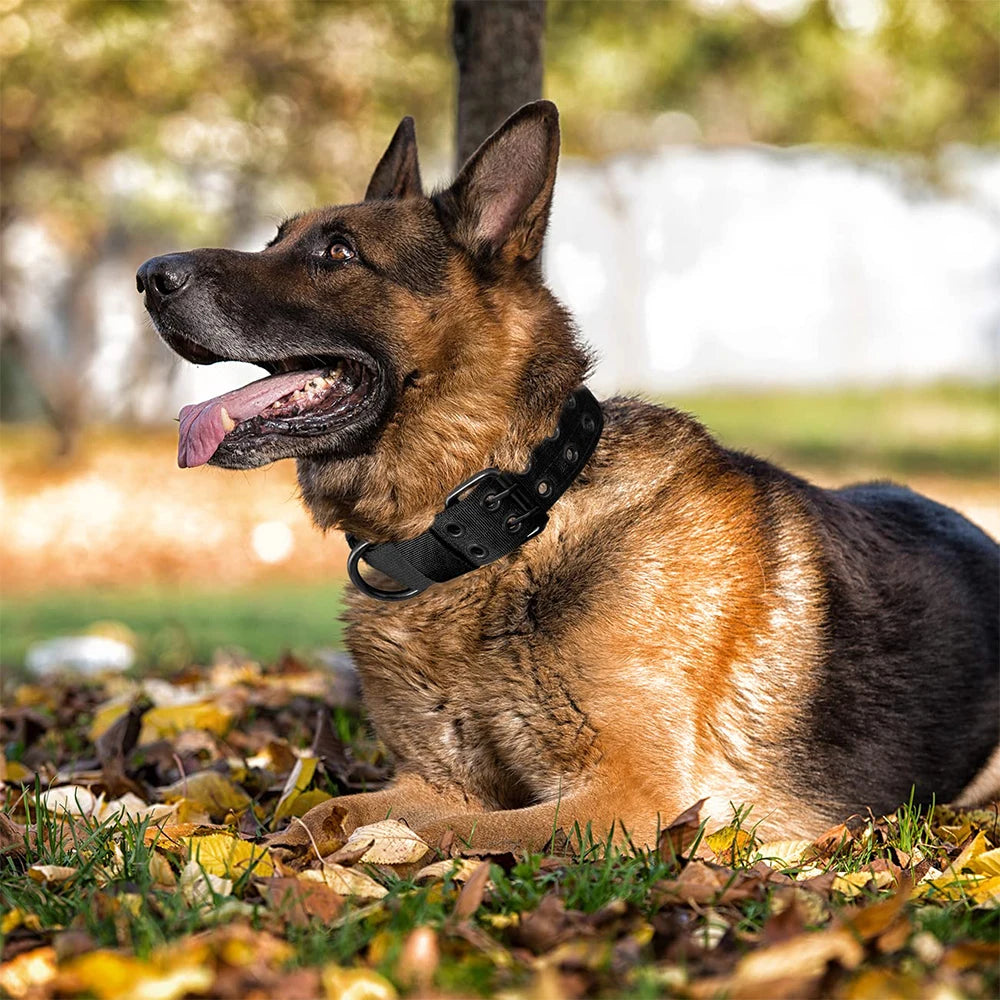 Tactical Dog Collar 1pc Durable Nylon Military Collars Outdoor For Medium Large Dogs Training Walking Working Pet Products Beauty World Shop