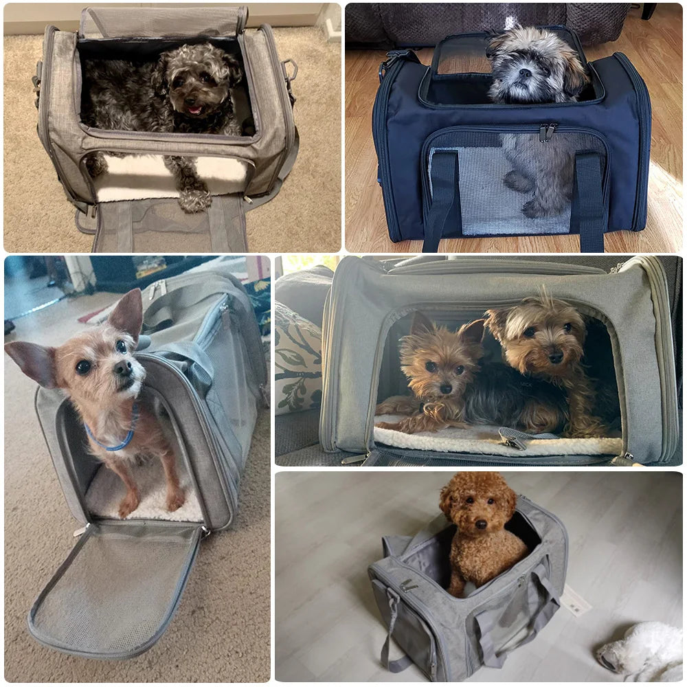 Dog Carrier Bag Soft Side Backpack Cat Pet Carriers Dog Travel Bags Airline Approved Transport For Small Dogs Cats Outgoing Beauty World Shop