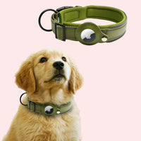 Olive green For Dogs