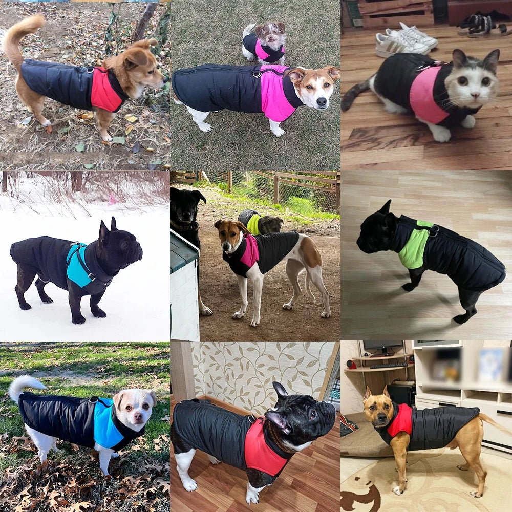 Pet Dog Jacket Warm Winter Clothes For Small Large Dogs Labrador Coat Windproof Waterproof Puppy Costume Vest With D-ring Pug Beauty World Shop