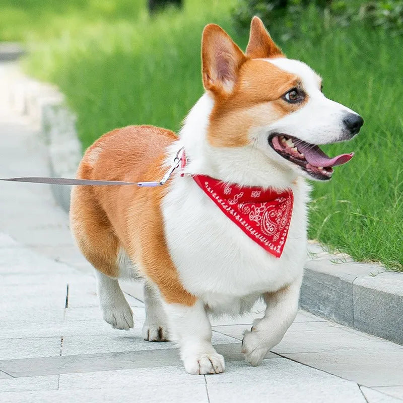 PU Cat Dog Collar with Scarf for Small Medium Dogs Chihuahua Corgi Puppy Adjustable Collars Pet Supplies accesorios para perros Beauty World Shop