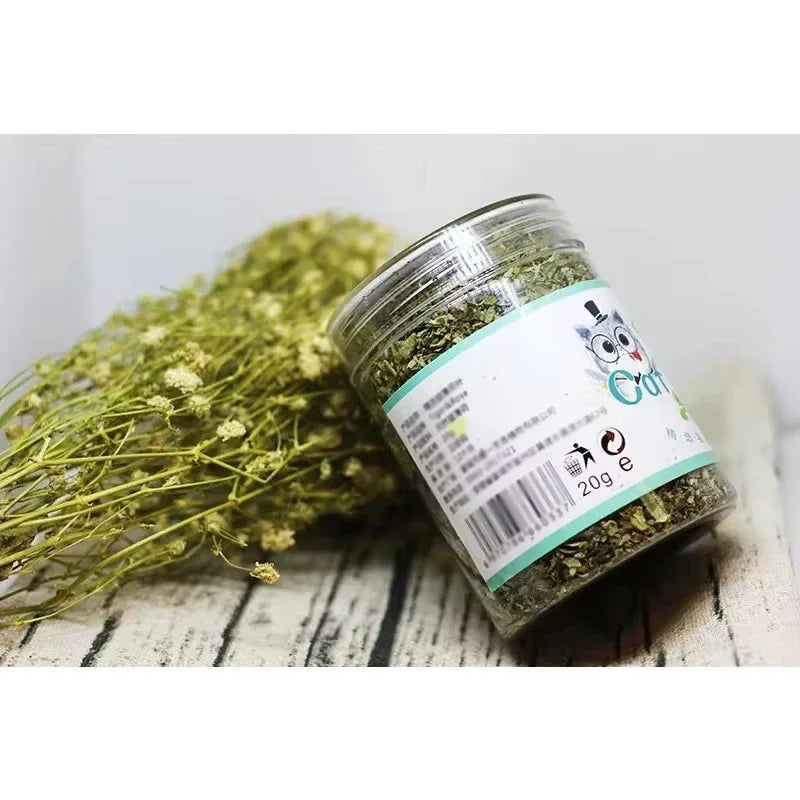 Organic 100% Natural High Quality Catnip Cattle Grass Mint Taste Funny Cat Toy New Cat Toy Interactive Cat Toys Pet Supplies Beauty World Shop