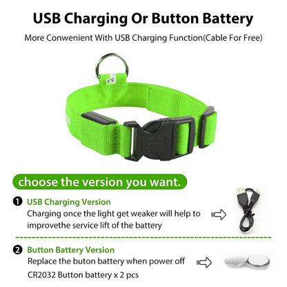 Usb Charging Glowing Dog Collar With Pendant Detachable Luxury Led Light Bright For Small Dogs Cat Night Safety Collar Wholesale Beauty World Shop