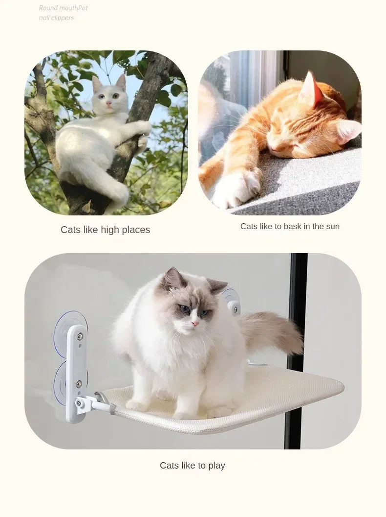 Cat Hammock Super Suction Cup Swing Winter Sun Can Be Removed And Washed Mattress Windowsill Glass Hanging Bed Pet Supplies Beauty World Shop