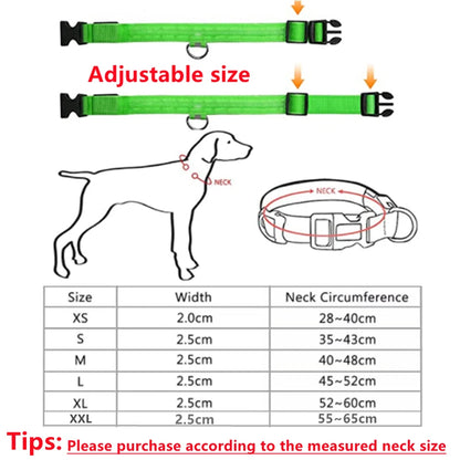 USB Rechargeable Luminous Collar Adjustable Led Glowing Dog Collar for Large Small Dogs Cat Night Light Collar Pet Safety Harnes Beauty World Shop
