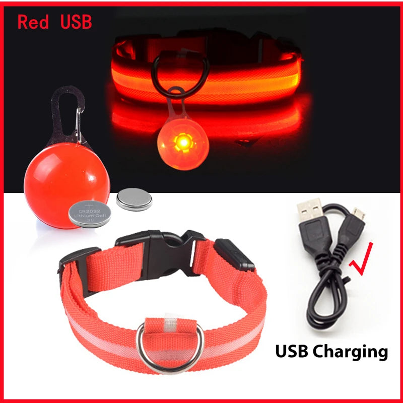 Usb Charging Glowing Dog Collar With Pendant Detachable Luxury Led Light Bright For Small Dogs Cat Night Safety Collar Wholesale Beauty World Shop