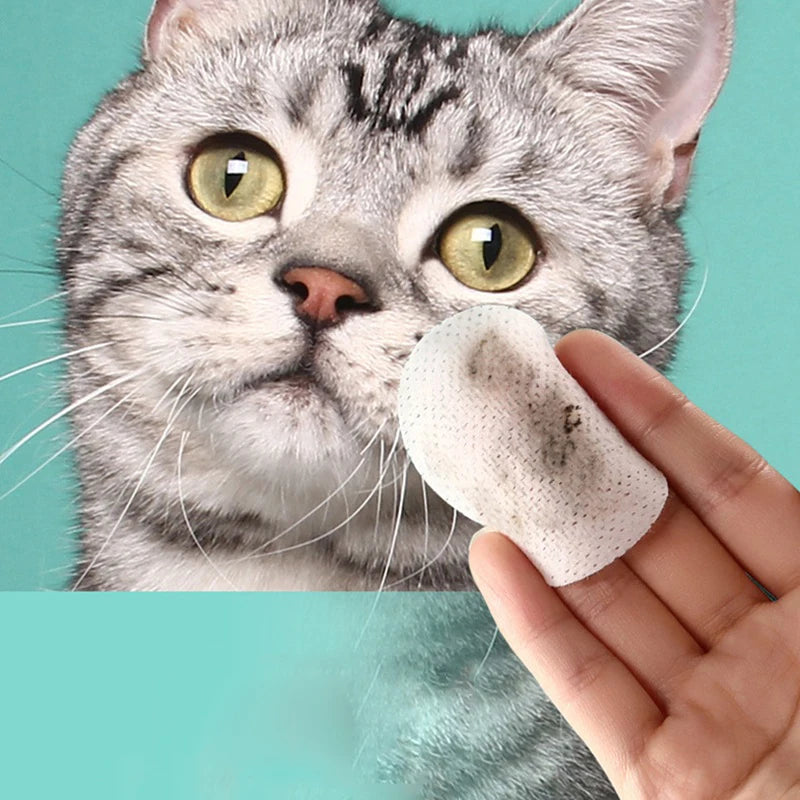 Pet Eye Wipes Cats And Dogs Tearmark Wet Wipes Cats And Dogs Universal No Irritation Cleaning Products 130 Canned Wipes Beauty World Shop