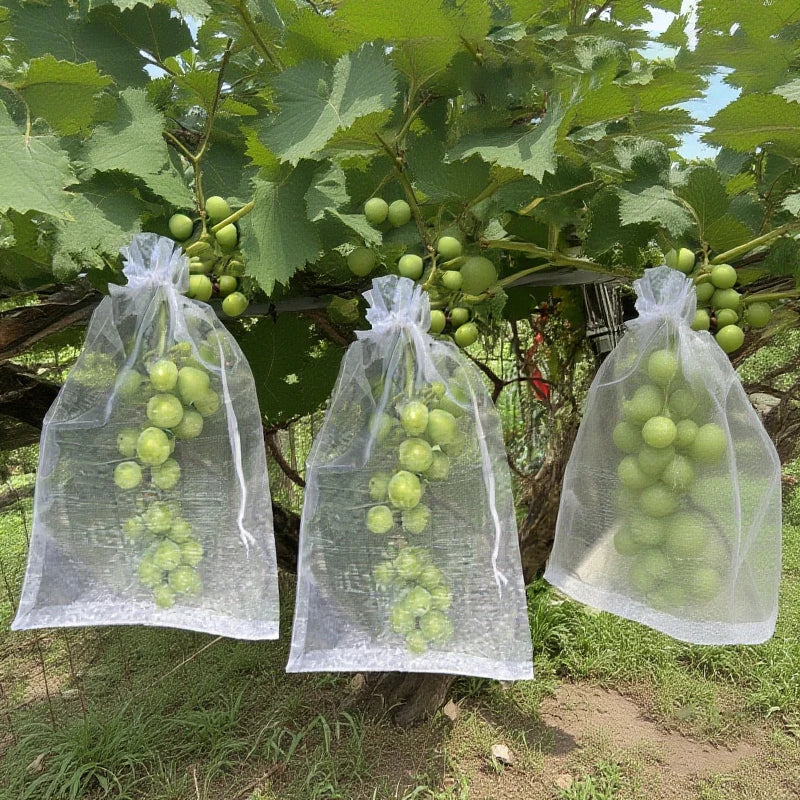 50Pcs Grapes Fruit Protection Bags Pest Control Anti-Bird Garden Netting Bags Mesh Agricultural Tree Garden Tool Bags Beauty World Shop