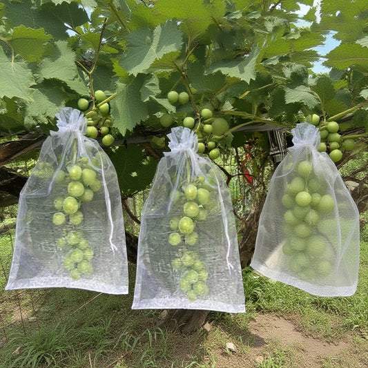 50Pcs Grapes Fruit Protection Bags Pest Control Anti-Bird Garden Netting Bags Mesh Agricultural Tree Garden Tool Bags Beauty World Shop