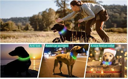 New Led Luminous Dog Collar PVC Waterproof , For Large Medium Small Dogs Collar Usb Light Night Safety Pet Glowing Accessories Beauty World Shop