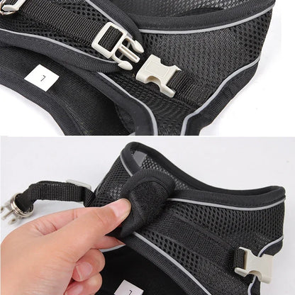 Puppy Harness Set Dog Accessories Adjustable Pet Vest Dogs French Bulldog Chihuahua Small Dog Collar Supplies Products Home Beauty World Shop