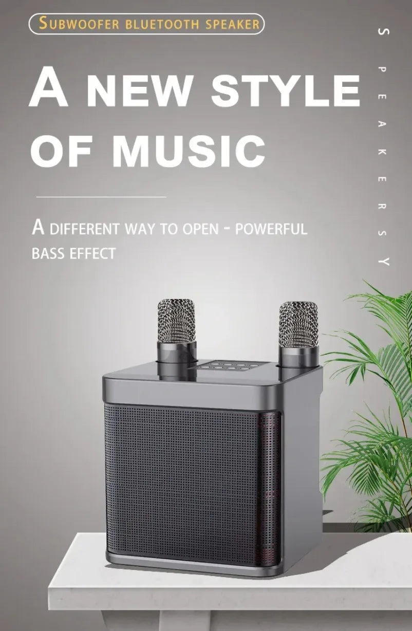 10W Powerful Wireless Portable Dual Microphone Bluetooth Sound Outdoor Family Party Karaoke Subwoofer Boom Box with 2 Microphone