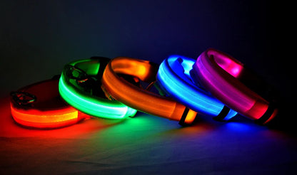 Usb Charging Glowing Dog Collar With Pendant Detachable Luxury Led Light Bright For Small Dogs Cat Night Safety Collar Wholesale Beauty World Shop