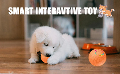 Smart Dog Toy Ball Electronic Interactive Pet Toy Ball USB Automatic Bouncing Rolling Toy Ball With RGB Lights Puppy Cat Product Beauty World Shop