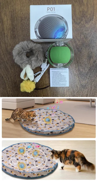 Cat toy ball fast rolling bag cat toy simulation hunting interactive hunting cover suitable for indoor play