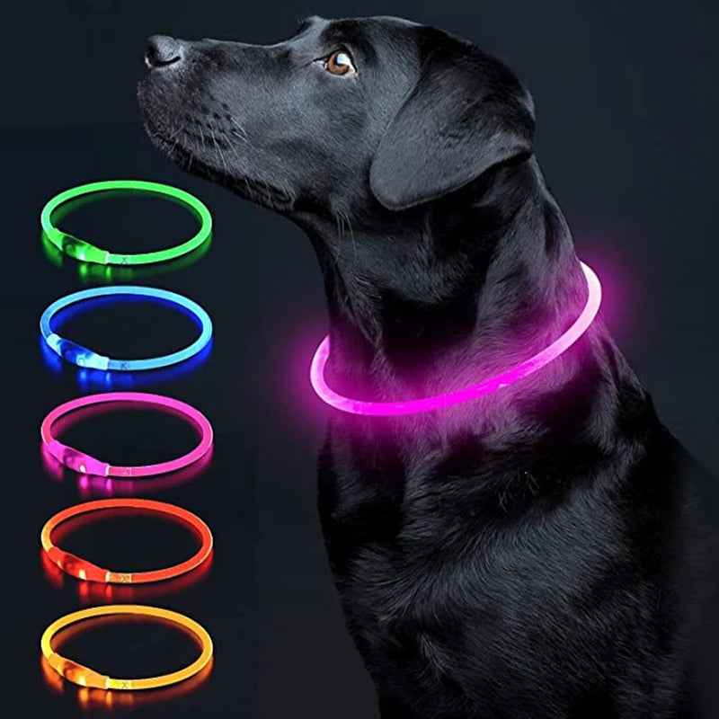 Luminous Dog Collar Light Charge Cat Necklace, Led Fashion Flashing DIY Glowing Safety Collar for Dogs Nighttime Pet Accessorie Beauty World Shop