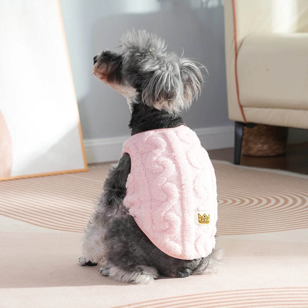Soft Cozy Cat Clothes Autumn Winter Warm Fleece Sweatshirt for Small Dogs Puppy Kitten Jacket Coat Pet Sphynx Costume Sweater Beauty World Shop