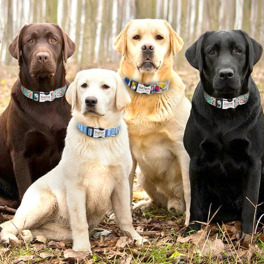 Adjustable Nylon Dog Collar Personalized Dogs Cat ID Collars With Engraved Name Buckle Anti-lost for Small Medium Large Dogs Beauty World Shop