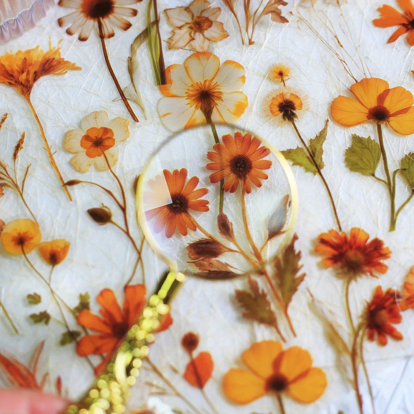 Journamm 50Pcs Transparent Decoration Flower Stickers for Scrapbooking PET Floral Stickers for Journaling Scrapbooking Beauty World Shop