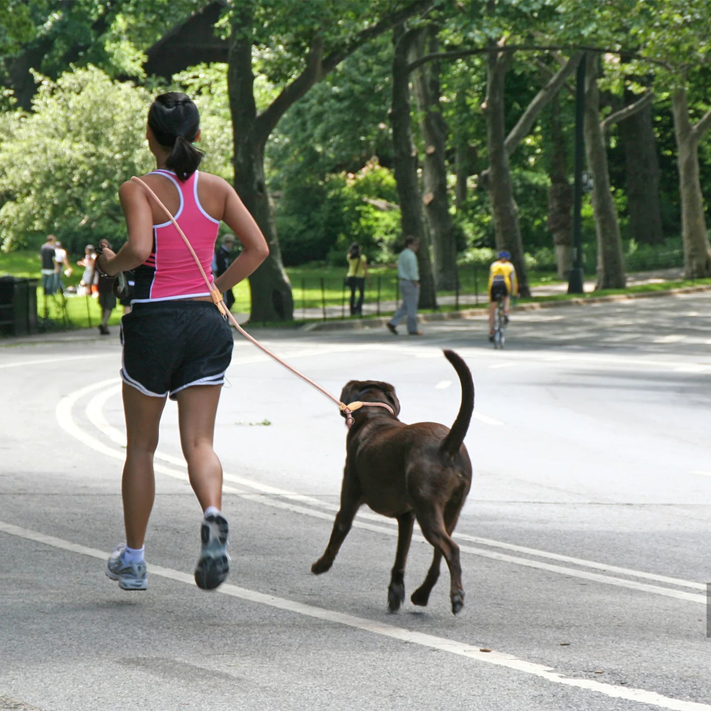 Multi-functional adjustable P-shape dog leash Chain Traction Rope Leads for Running Walking Free hands free leashes