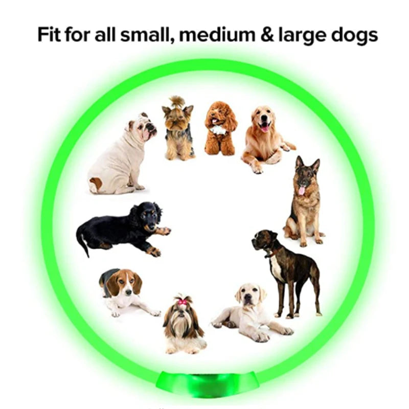 USB Rechargeable Luminous Collar Adjustable Led Glowing Dog Collar for Large Small Dogs Cat Night Light Collar Pet Safety Harnes Beauty World Shop