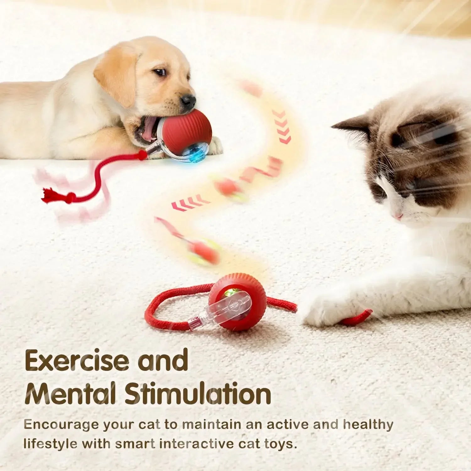 Cat Interactive Ball Toy, Automatic Rolling Ball with Tail, Rechargeable Smart Pet Interactive Toy, Intelligent Mouse for Cat Beauty World Shop