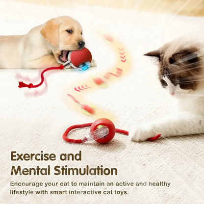Cat Interactive Ball Toy, Automatic Rolling Ball with Tail, Rechargeable Smart Pet Interactive Toy, Intelligent Mouse for Cat Beauty World Shop