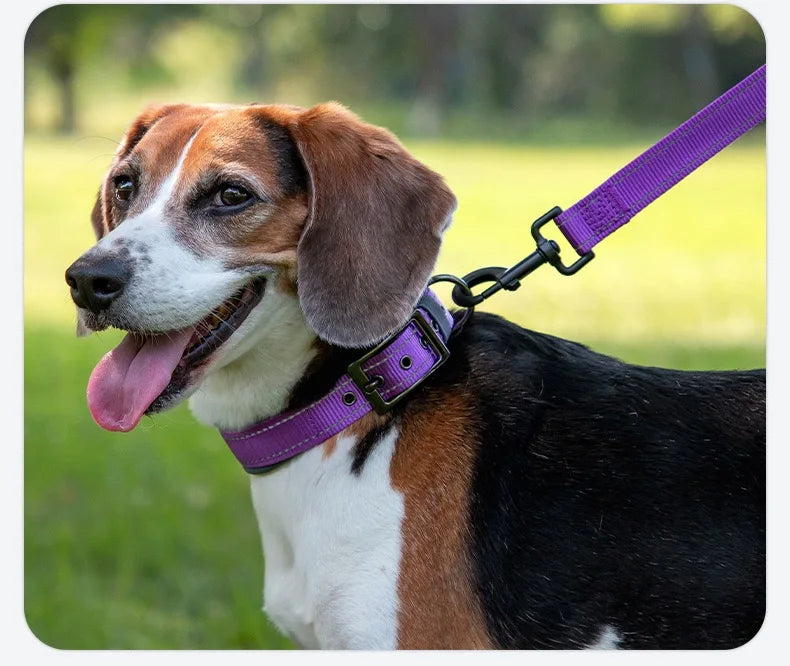 Padded Dog Collars for small Medium large Dogs Reflective Wide Pet Collars Adjustable Heavy Duty Nylon Neoprene Dog Collar Beauty World Shop