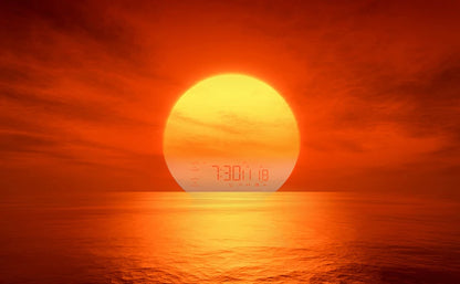 Wake Up Light Alarm Clock with Sunrise/Sunset Simulation Dual Alarms FM Radio Nightlight 7 Colors Natural Sounds Snooze Beauty World Shop