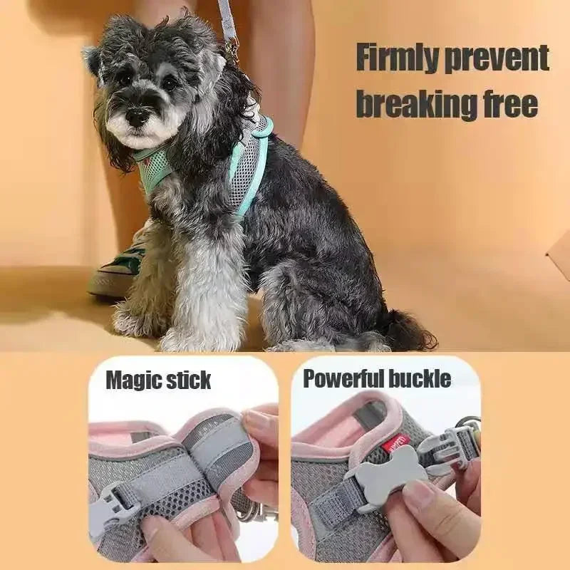 Cats Dog Accessories Small Dog Collar Safety Vest Pet Chest Rope Dogs Cover Breathable Adjustable Harnesses Supplies Products Beauty World Shop