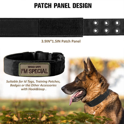 Tactical Dog Collar 1pc Durable Nylon Military Collars Outdoor For Medium Large Dogs Training Walking Working Pet Products Beauty World Shop