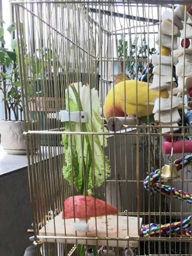 Cute Small Pet Bird Food Holder Parrot Fruits Vegetables Clip Cuttlefish Bone Feeder Device Clamp Bird Cage Accessories Oiseaux Beauty World Shop