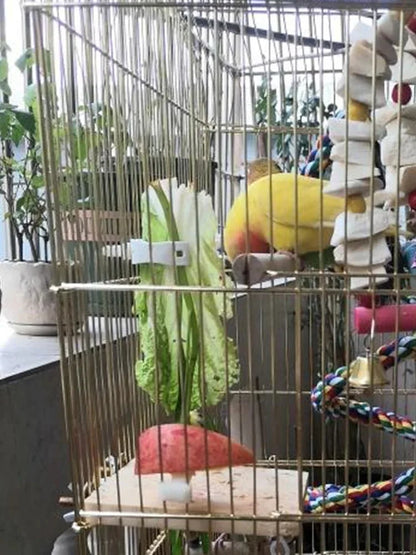 Cute Small Pet Bird Food Holder Parrot Fruits Vegetables Clip Cuttlefish Bone Feeder Device Clamp Bird Cage Accessories Oiseaux Beauty World Shop
