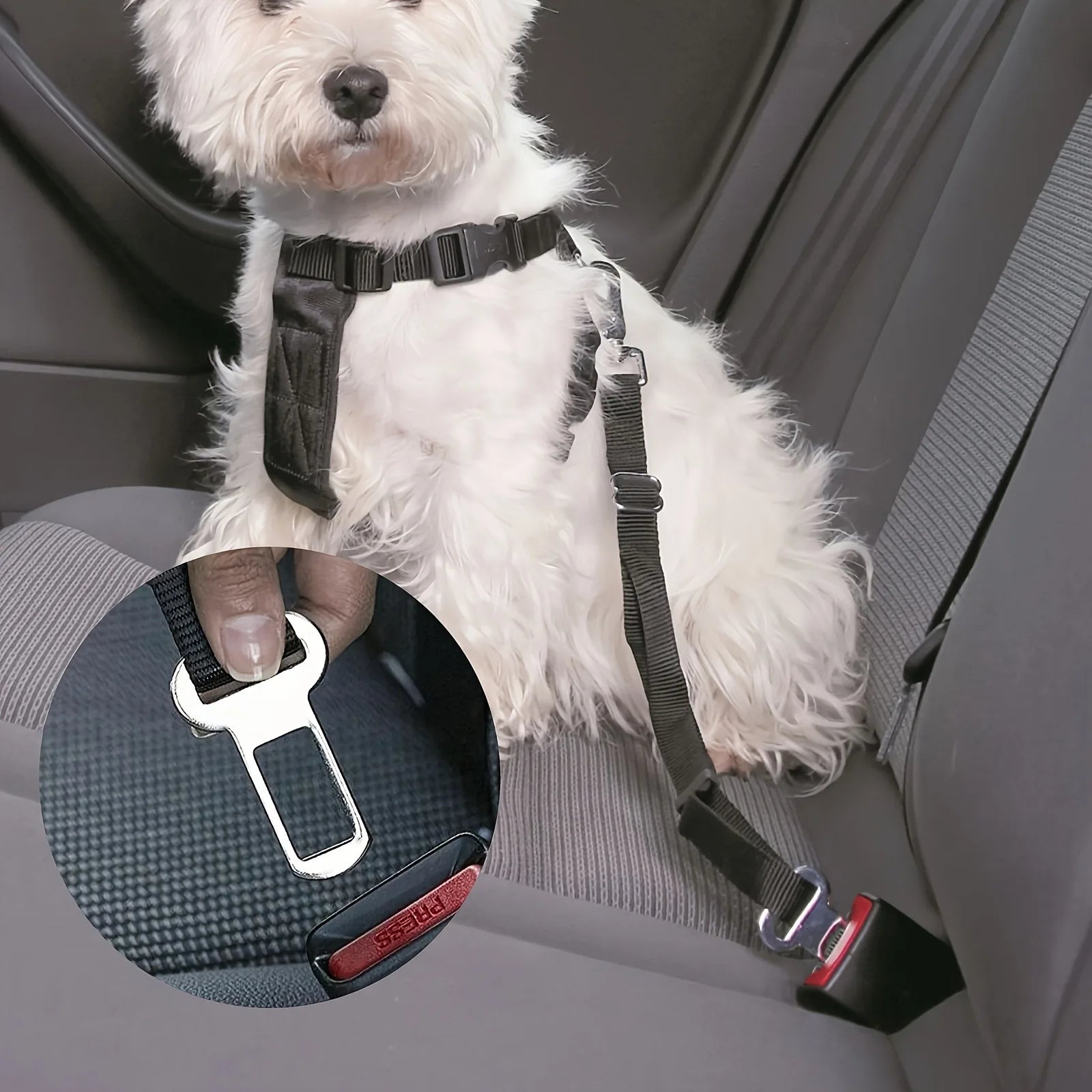 2/4 Pet Seat Belt Adapters - Car Metal Clips for Pet Leashes, Compatible with Truck & Car Seats Beauty World Shop