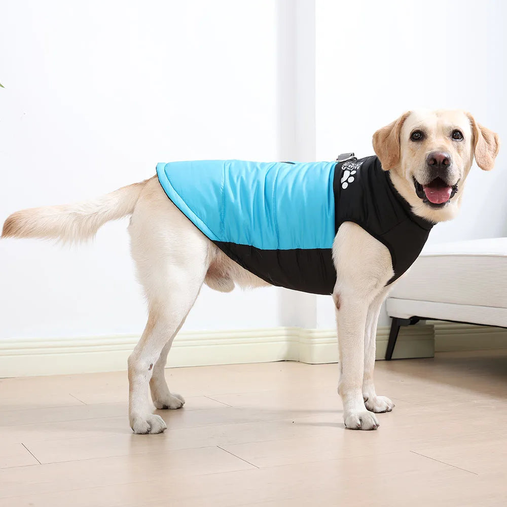 Warm Winter Pet Clothes Windproof Dog Jacket Coat For Small Big Dogs Labrador Costume French Bulldog Golden Retriever Outfits