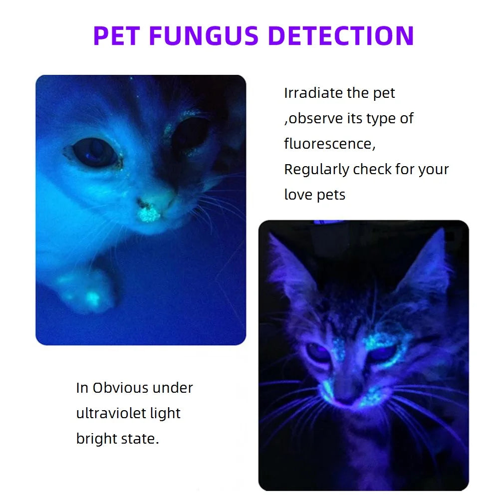 365nm Mini UV Led Blacklight Flashlight Usb Rechargeable Nail lamp Pet Stain Leakage Marker Ore Money Scorpion Detection lights Beauty World Shop