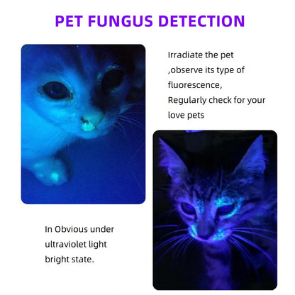 365nm Mini UV Led Blacklight Flashlight Usb Rechargeable Nail lamp Pet Stain Leakage Marker Ore Money Scorpion Detection lights Beauty World Shop