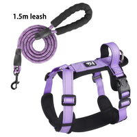 Purple with leash