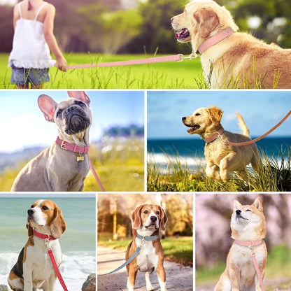 Soft Padded Dog Collar Leash Set PU Leather Pet Dog Collars Necklace With Walking Lead Rope Adjustable For Small Medium Dogs Pug Beauty World Shop