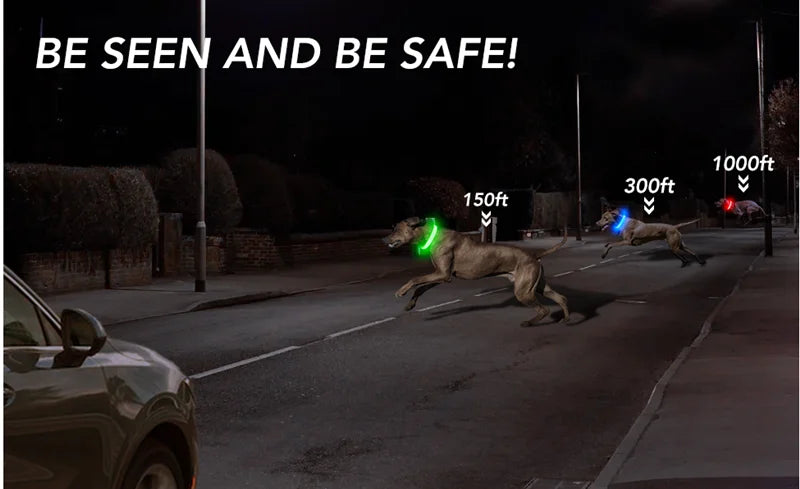 Usb Charging Glowing Dog Collar With Pendant Detachable Luxury Led Light Bright For Small Dogs Cat Night Safety Collar Wholesale Beauty World Shop