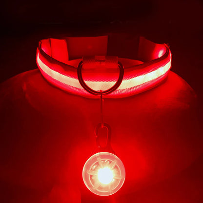 Usb Charging Glowing Dog Collar With Pendant Detachable Luxury Led Light Bright For Small Dogs Cat Night Safety Collar Wholesale Beauty World Shop
