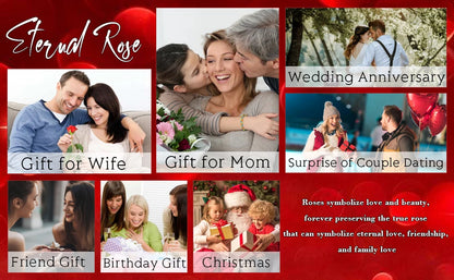  Necklace - Luxurious Rose Gift Box, Perfect for Valentine's Day, Mother's Day, Anniversary, Birthday, and Any Special Occasion  Beauty World Shop