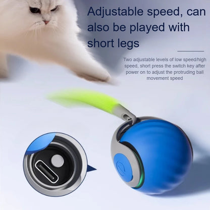 Cats Interactive Ball Toys, Automatic Rolling Ball with Faux Tail,USB Rechargeable SmartElectric Pet Toy for Teaser and Training Beauty World Shop