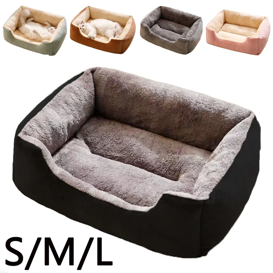 Bed for Cats Pet Products Cushions Kitten Goods Accessories Dog All Home Supplies Things Accessory Habitats Basket House Beds Beauty World Shop