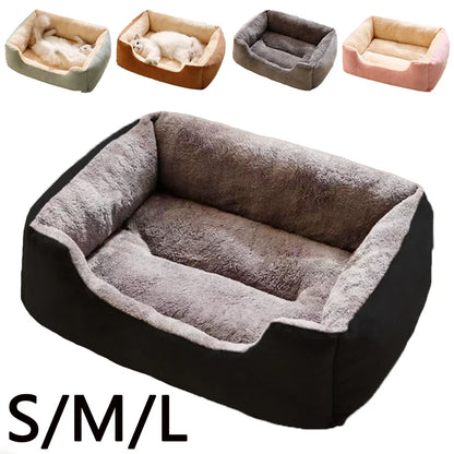 Bed for Cats Pet Products Cushions Kitten Goods Accessories Dog All Home Supplies Things Accessory Habitats Basket House Beds Beauty World Shop